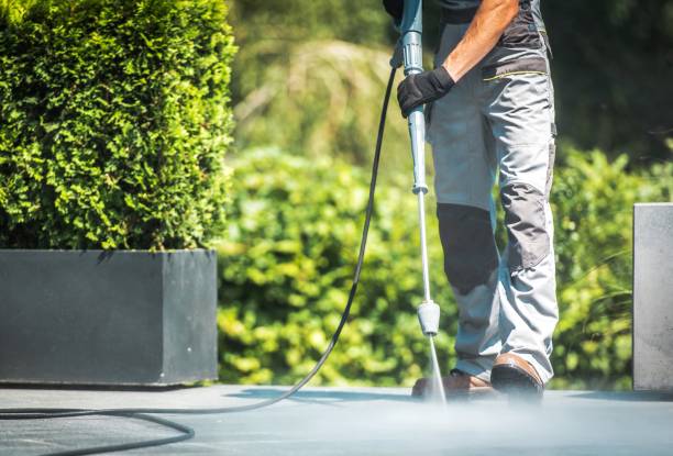 Best Fence Cleaning  in Tangent, OR