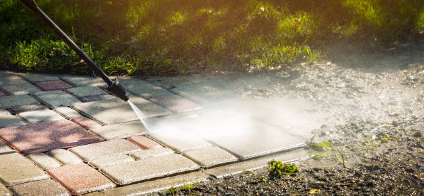 Best Soft Washing  in Tangent, OR